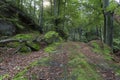 The famous Palatinate Forest in Germany Royalty Free Stock Photo
