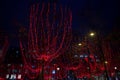 Champs-Elysees in the Christmas light Royalty Free Stock Photo