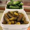Famous pickles in New York Deli Royalty Free Stock Photo