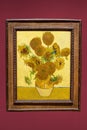 The famous picture bouquet of sunflowers in a vase, still life paintings by the painter Vincent van Gogh, furth version, yellow Royalty Free Stock Photo