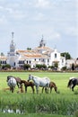 Famous pilgrimage Church El Rocio and wild horses Royalty Free Stock Photo