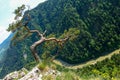 Famous pine on Sokolica peak and Dunajec river in southern Poland. Royalty Free Stock Photo