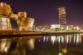 Guggenheim Museum Bilbao at night Basque country Spain Royalty Free Stock Photo