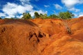 Famous red dirt of Waimea Canyon in Kauai Royalty Free Stock Photo