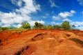 Famous red dirt of Waimea Canyon in Kauai Royalty Free Stock Photo