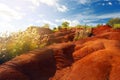 Famous red dirt of Waimea Canyon in Kauai Royalty Free Stock Photo