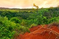 Famous red dirt of Waimea Canyon in Kauai Royalty Free Stock Photo