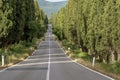 The famous road bordered by cypress trees leading to the charming village of Bolgheri, Tuscany, Italy