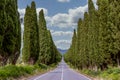 The famous road bordered by cypress trees leading to the charming village of Bolgheri, Tuscany, Italy