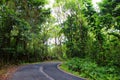 Famous Road to Hana fraught with narrow one-lane bridges, hairpin turns and incredible island views, Maui, Hawaii Royalty Free Stock Photo