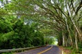 Famous Road to Hana fraught with narrow one-lane bridges, hairpin turns and incredible island views, Maui, Hawaii Royalty Free Stock Photo