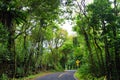 Famous Road to Hana fraught with narrow one-lane bridges, hairpin turns and incredible island views, Maui, Hawaii Royalty Free Stock Photo