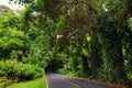 Famous Road to Hana fraught with narrow one-lane bridges, hairpin turns and incredible island views, Maui, Hawaii Royalty Free Stock Photo