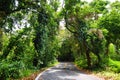 Famous Road to Hana fraught with narrow one-lane bridges, hairpin turns and incredible island views, Maui, Hawaii Royalty Free Stock Photo