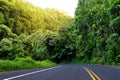 Famous Road to Hana fraught with narrow one-lane bridges, hairpin turns and incredible island views, Maui, Hawaii Royalty Free Stock Photo