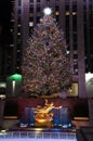 The famous Rockefeller Center Christmas Tree and Prometheus Statue at Rockefeller Center