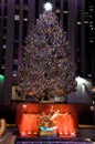 The famous Rockefeller Center Christmas Tree and Prometheus Statue at Rockefeller Center Royalty Free Stock Photo