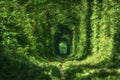 Famous romantic place called Tunnel of Love, Klevan, Ukraine.  natural summer spring background Royalty Free Stock Photo