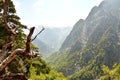Famous Samaria Gorge, Crete Royalty Free Stock Photo