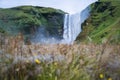 The famous Skogarfoss waterfall in the south of Iceland Royalty Free Stock Photo