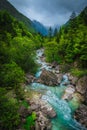 Famous Soca river in the fresh green forest, Bovec, Slovenia Royalty Free Stock Photo