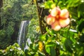 Famous Sopoaga Falls Waterfall in Samoa, Upolu