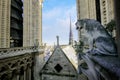 Authentic spire and wood roof of Notre Dame Cathedral from above in 2018 before of fire damage and restoration. The 19th-century Royalty Free Stock Photo