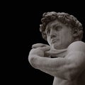 Famous statue by Michelangelo - David from Florence, isolated on black