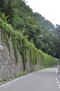 Old Stone Road in the forest from Baile Herculane Resort in Romania Royalty Free Stock Photo