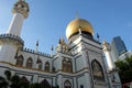 The Famous Sultan Mosque Singapore