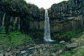 Famous Svartifoss waterfall. Another named Black fall. Located in Skaftafell, Vatnajokull National Park, Iceland. Royalty Free Stock Photo