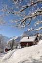 Famous Swiss skiing resort Braunwald Royalty Free Stock Photo