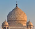 The Famous Taj Mahal dome, India Royalty Free Stock Photo