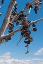 The famous tamarisk shoe tree near Amboy on Route 66