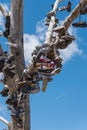 The famous tamarisk shoe tree near Amboy on Route 66 Royalty Free Stock Photo