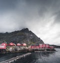 Famous tourist attraction of Reine in Lofoten, Norway with red rorbu houses, clouds, rainy day with bridge and grass and