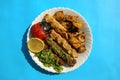Grilled chicken shashlik, lamb, beef kofta kebab, tomato, parsley on white plate on blue background Royalty Free Stock Photo