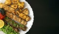 Grilled chicken shashlik, lamb, beef kofta kebab, tomato, parsley on white plate on dark wooden background Royalty Free Stock Photo