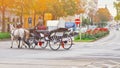 Famous traditional horse drawn fiaker carrige in the old historic center street of Vienna, Austria. Everyday life of Royalty Free Stock Photo