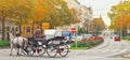 Famous traditional horse drawn fiaker carrige in the old historic center street of Vienna, Austria. Everyday life of evropean Royalty Free Stock Photo