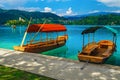 Moored wooden Pletna boats on the lake Bled, Slovenia