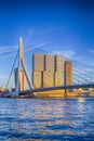 Attractive View of Renowned Erasmusbrug Royalty Free Stock Photo