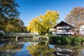 Famous tree Goethegingko at the river Nidda