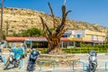 Famous tree, hippie bus and motorcycles in Matala center