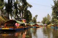 The famous trjineras of xochimilco, mexico city Royalty Free Stock Photo