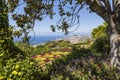 Famous Tropical Botanical Gardens in Funchal town, Madeira island, Portugal Royalty Free Stock Photo