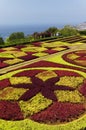 Famous Tropical Botanical Gardens in Funchal