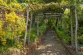 Famous Tropical Botanical Gardens in Funchal