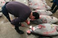 Famous Tuna auction at Tsukiji fish market