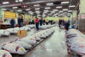 Famous Tuna auction at Tsukiji fish market